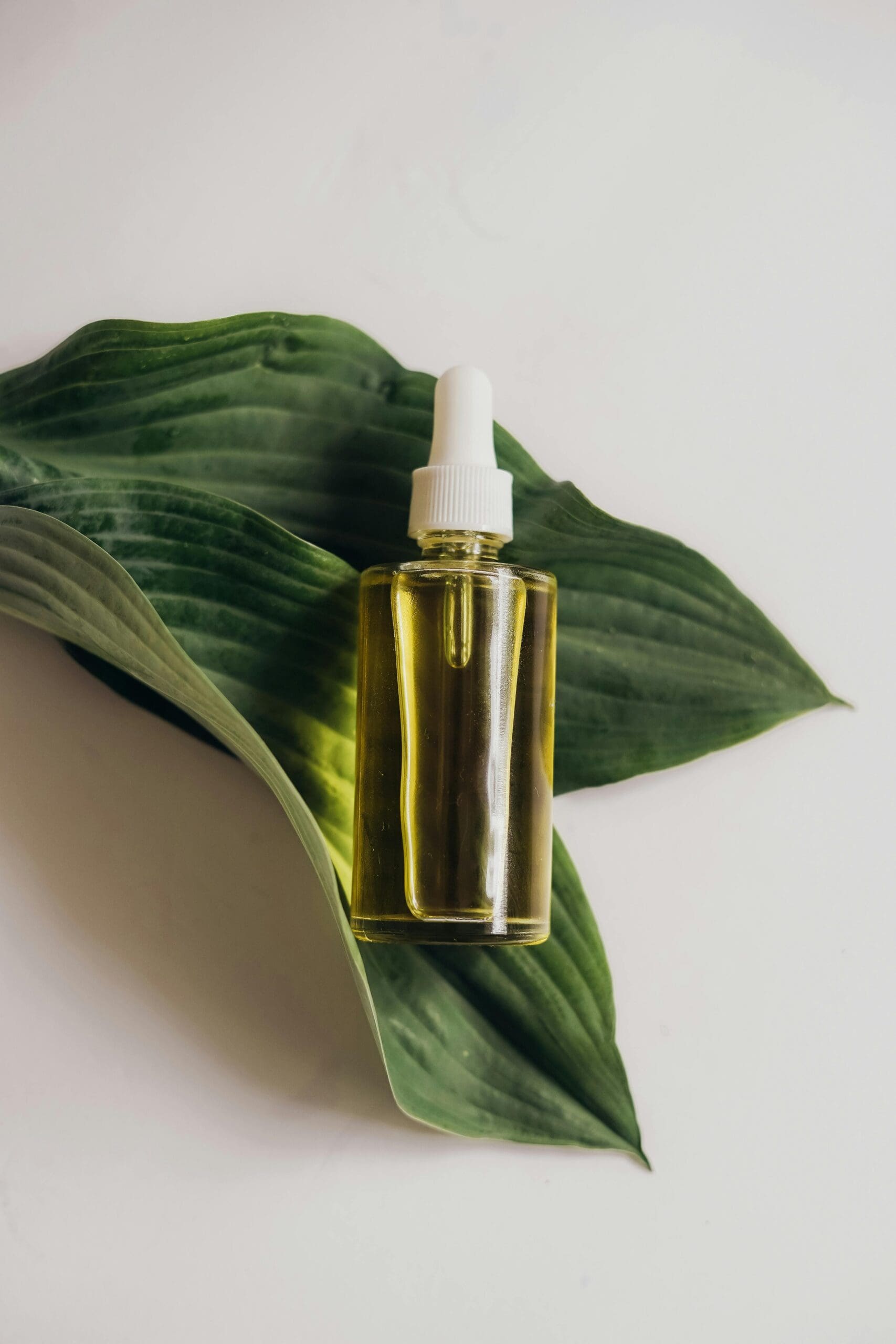 An unlabeled bottle of body oil sits atop a green leaf
